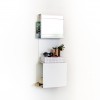 Showcase 3 Shelve white