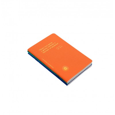 Set de 3 petits carnets de notes