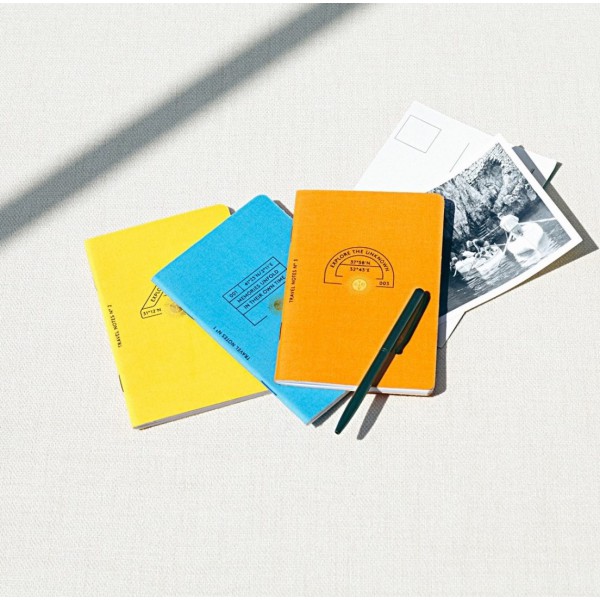 LOT DE 3 PETITS CARNETS DE NOTES D