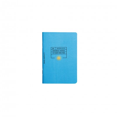 LOT DE 3 PETITS CARNETS DE NOTES D