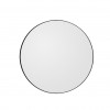 Tinted mirror