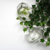 culbuto glass