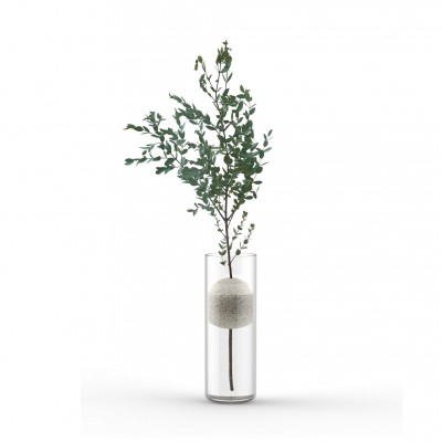 Single flower vase Archimedes