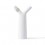 Limoges Watering bottle