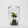 Coffee Jar