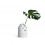 petit pique-fleurs blanc