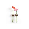 Vase Duo de Soliflore