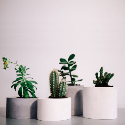 Set of 4 concrete planters