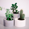 Set of 4 concrete planters