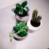 Set of 4 concrete planters