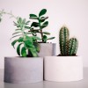 Set of 4 concrete planters