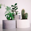 Set of 4 concrete planters