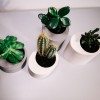 Set of 4 concrete planters