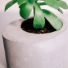 Set of 4 concrete planters