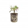 yellow splash flowerpot