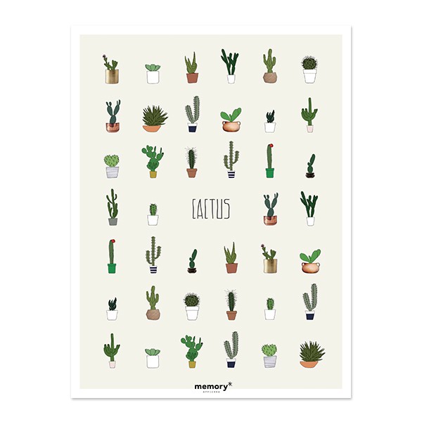 Affiche Cactus