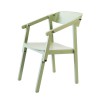 Fauteuil chevalet vert