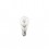 Ampoule longue