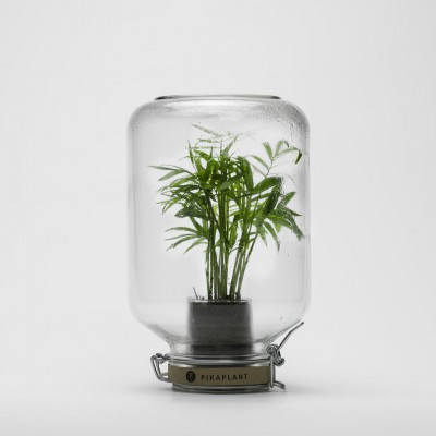 Palm Jar