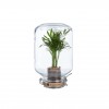 Palm Jar
