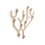 Porte manteaux Vegetal