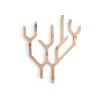 Coat Rack Vegetal