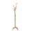 Coat Rack Vegetal High