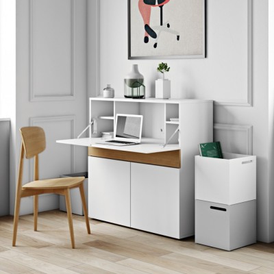 Duo de Chaises Scandi