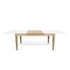 Table Extensible