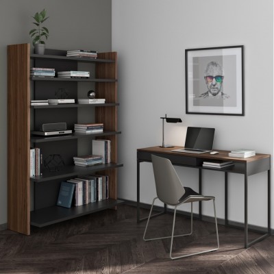 Black & Walnut Niko Bookcase