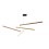 Suspension Tasso Cho