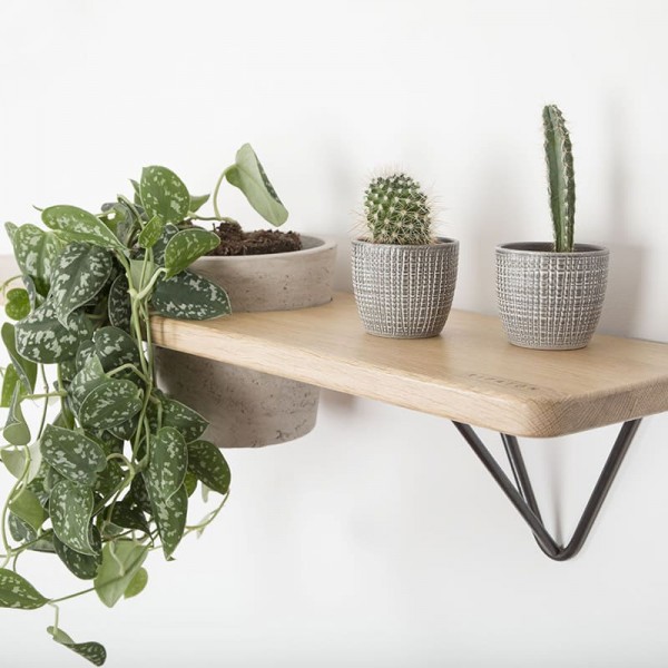 DIY Brut shelf