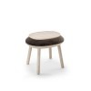 Naive Brown Stool